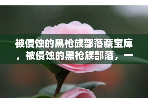 被侵蚀的黑枪族部落藏宝库，被侵蚀的黑枪族部落，一场未曾预见的灾难