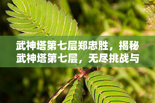 武神塔第七层郑忠胜，揭秘武神塔第七层，无尽挑战与荣耀的巅峰战场