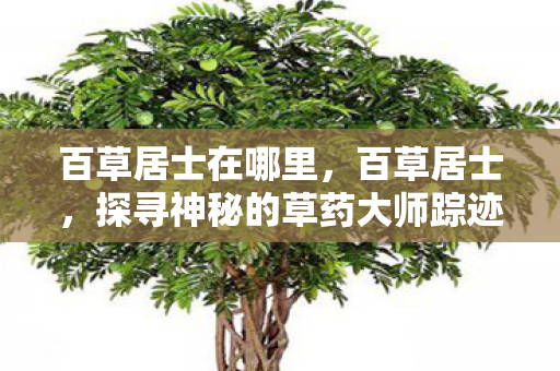 百草居士在哪里，百草居士，探寻神秘的草药大师踪迹