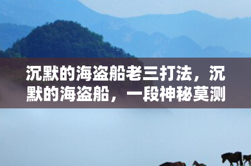 沉默的海盗船老三打法，沉默的海盗船，一段神秘莫测的历史传奇