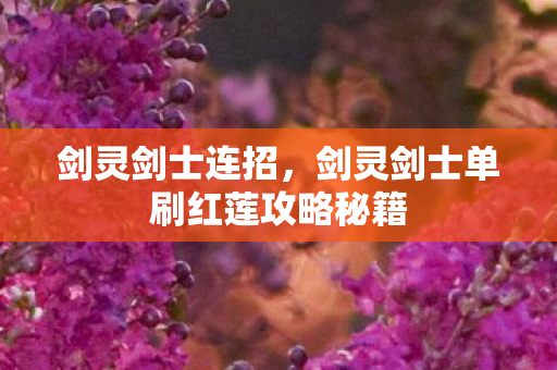 剑灵剑士连招，剑灵剑士单刷红莲攻略秘籍