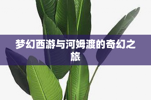 梦幻西游与河姆渡的奇幻之旅