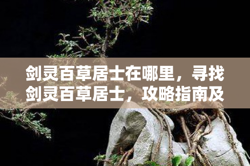 剑灵百草居士在哪里，寻找剑灵百草居士，攻略指南及详细地点解析