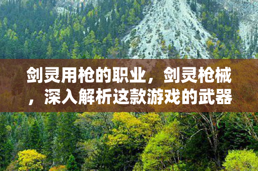 剑灵用枪的职业，剑灵枪械，深入解析这款游戏的武器系统与战斗魅力