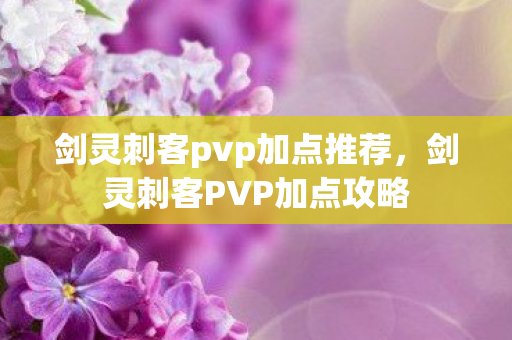 剑灵刺客pvp加点推荐，剑灵刺客PVP加点攻略