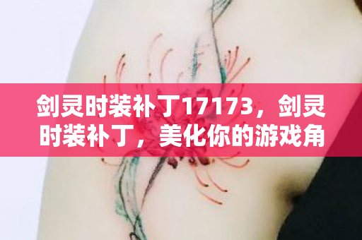 剑灵时装补丁17173，剑灵时装补丁，美化你的游戏角色，提升游戏体验