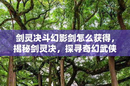 剑灵决斗幻影剑怎么获得，揭秘剑灵决，探寻奇幻武侠世界的无尽魅力