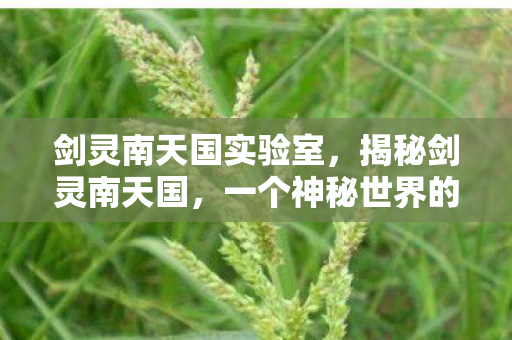 剑灵南天国实验室，揭秘剑灵南天国，一个神秘世界的奇幻之旅