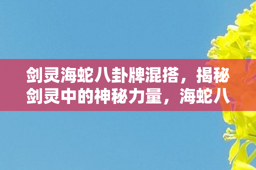 剑灵海蛇八卦牌混搭，揭秘剑灵中的神秘力量，海蛇八卦牌