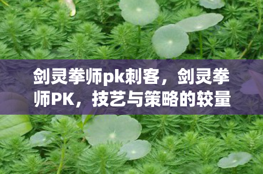 剑灵拳师pk刺客，剑灵拳师PK，技艺与策略的较量