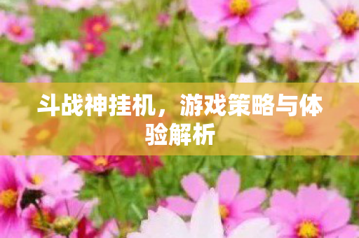 斗战神挂机，游戏策略与体验解析