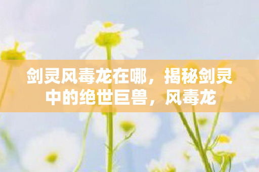 剑灵风毒龙在哪，揭秘剑灵中的绝世巨兽，风毒龙