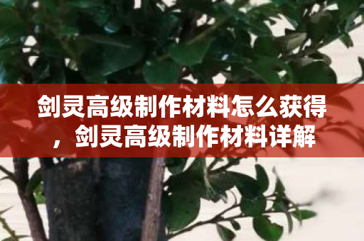 剑灵高级制作材料怎么获得,剑灵高级制作材料详解 剑灵高级制作材料怎么获得,剑灵高级制作材料详解