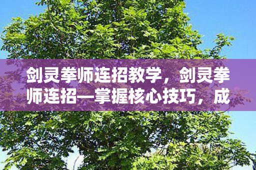 剑灵拳师连招教学，剑灵拳师连招—掌握核心技巧，成为武林高手