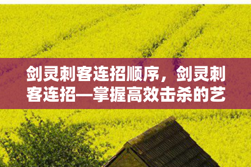剑灵刺客连招顺序,剑灵刺客连招—掌握高效击杀的艺术 剑灵刺客连招顺序,剑灵刺客连招—掌握高效击杀的艺术