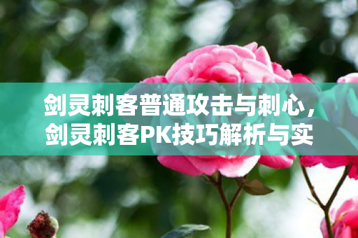 剑灵刺客普通攻击与刺心，剑灵刺客PK技巧解析与实战指南