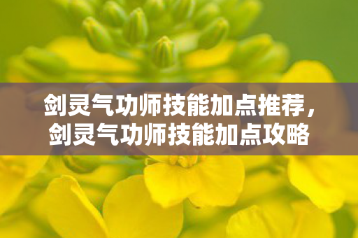 剑灵气功师技能加点推荐，剑灵气功师技能加点攻略