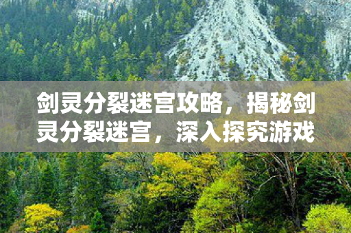 剑灵分裂迷宫攻略，揭秘剑灵分裂迷宫，深入探究游戏背后的秘密与挑战