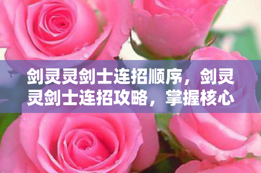 剑灵灵剑士连招顺序，剑灵灵剑士连招攻略，掌握核心技能，轻松施展连击组合