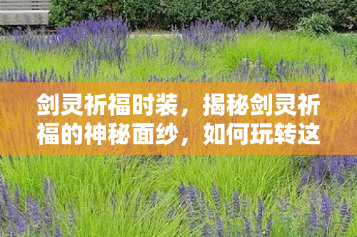 剑灵祈福时装，揭秘剑灵祈福的神秘面纱，如何玩转这款游戏？