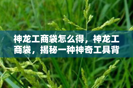 神龙工商袋怎么得，神龙工商袋，揭秘一种神奇工具背后的故事