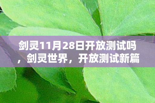 剑灵11月28日开放测试吗，剑灵世界，开放测试新篇章揭秘