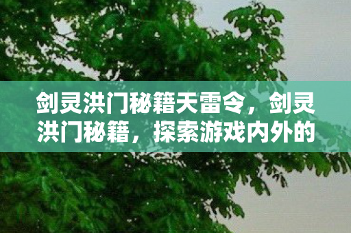 剑灵洪门秘籍天雷令，剑灵洪门秘籍，探索游戏内外的秘密与攻略