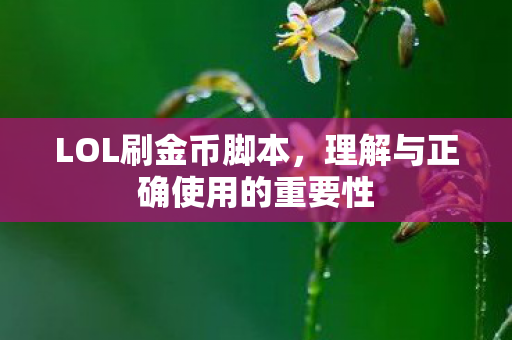 LOL刷金币脚本，理解与正确使用的重要性