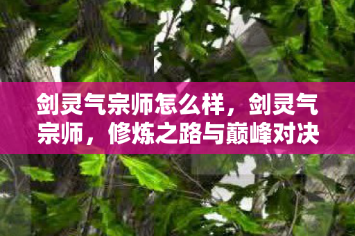 剑灵气宗师怎么样，剑灵气宗师，修炼之路与巅峰对决