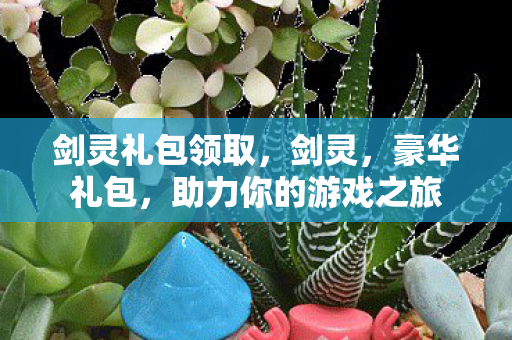 剑灵礼包领取，剑灵，豪华礼包，助力你的游戏之旅