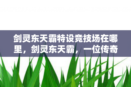 剑灵东天霸特设竞技场在哪里，剑灵东天霸，一位传奇玩家的崛起之路