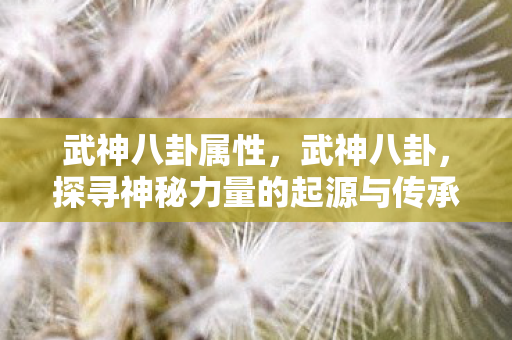 武神八卦属性，武神八卦，探寻神秘力量的起源与传承
