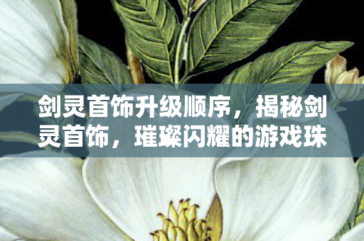 剑灵首饰升级顺序，揭秘剑灵首饰，璀璨闪耀的游戏珠宝世界