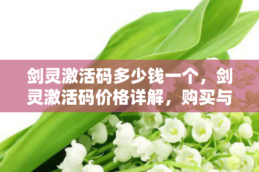 剑灵激活码多少钱一个，剑灵激活码价格详解，购买与获取方式一网打尽