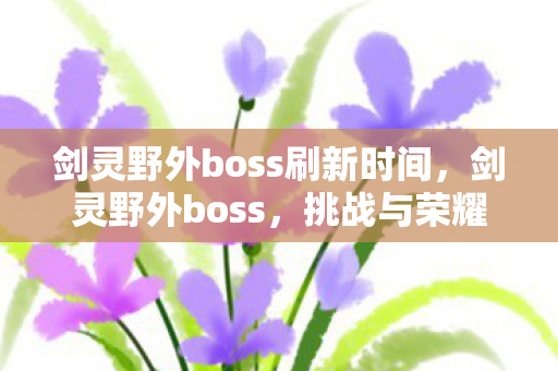剑灵野外boss刷新时间，剑灵野外boss，挑战与荣耀的交汇点