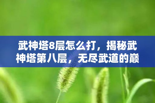 武神塔8层怎么打，揭秘武神塔第八层，无尽武道的巅峰之战