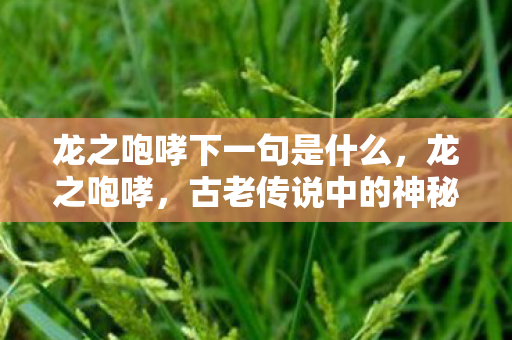 龙之咆哮下一句是什么，龙之咆哮，古老传说中的神秘力量