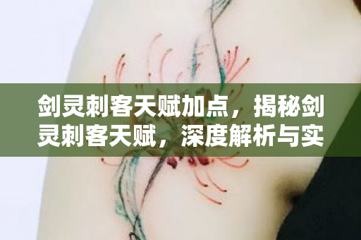 剑灵刺客天赋加点，揭秘剑灵刺客天赋，深度解析与实战运用策略
