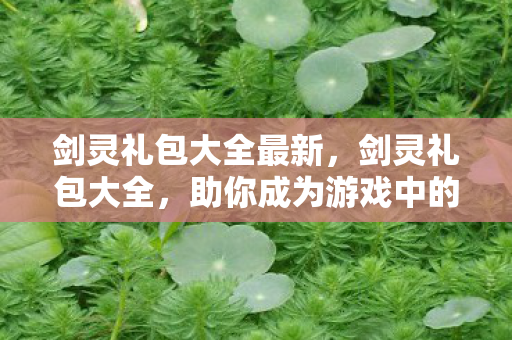 剑灵礼包大全最新，剑灵礼包大全，助你成为游戏中的强者