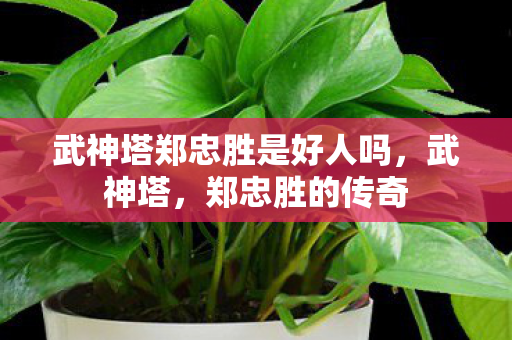 武神塔郑忠胜是好人吗，武神塔，郑忠胜的传奇