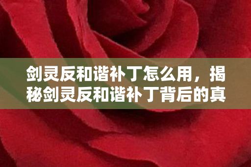 剑灵反和谐补丁怎么用，揭秘剑灵反和谐补丁背后的真相