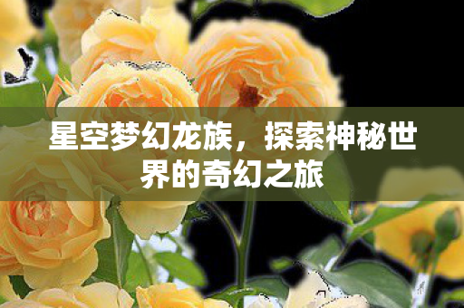 星空梦幻龙族，探索神秘世界的奇幻之旅