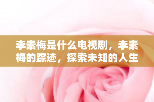 李素梅是什么电视剧，李素梅的踪迹，探索未知的人生旅程