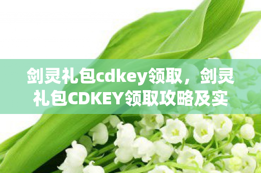 剑灵礼包cdkey领取，剑灵礼包CDKEY领取攻略及实用指南