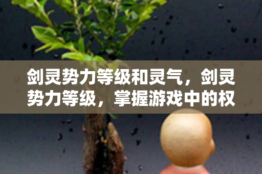 剑灵势力等级和灵气，剑灵势力等级，掌握游戏中的权力与荣耀