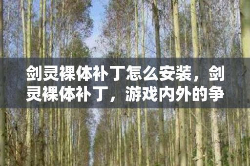 剑灵裸体补丁怎么安装，剑灵裸体补丁，游戏内外的争议与探讨