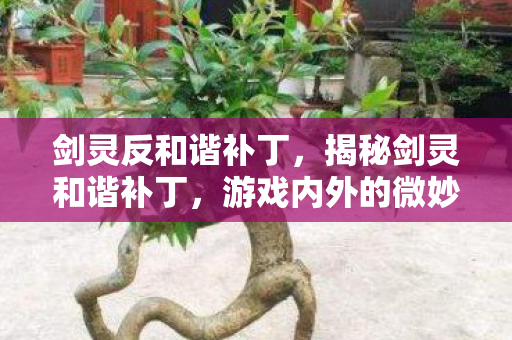 剑灵反和谐补丁，揭秘剑灵和谐补丁，游戏内外的微妙变化