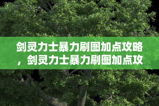 剑灵力士暴力刷图加点攻略，剑灵力士暴力刷图加点攻略