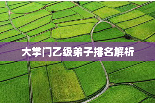 大掌门乙级弟子排名解析