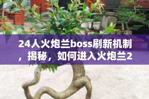 24人火炮兰boss刷新机制，揭秘，如何进入火炮兰24人挑战模式